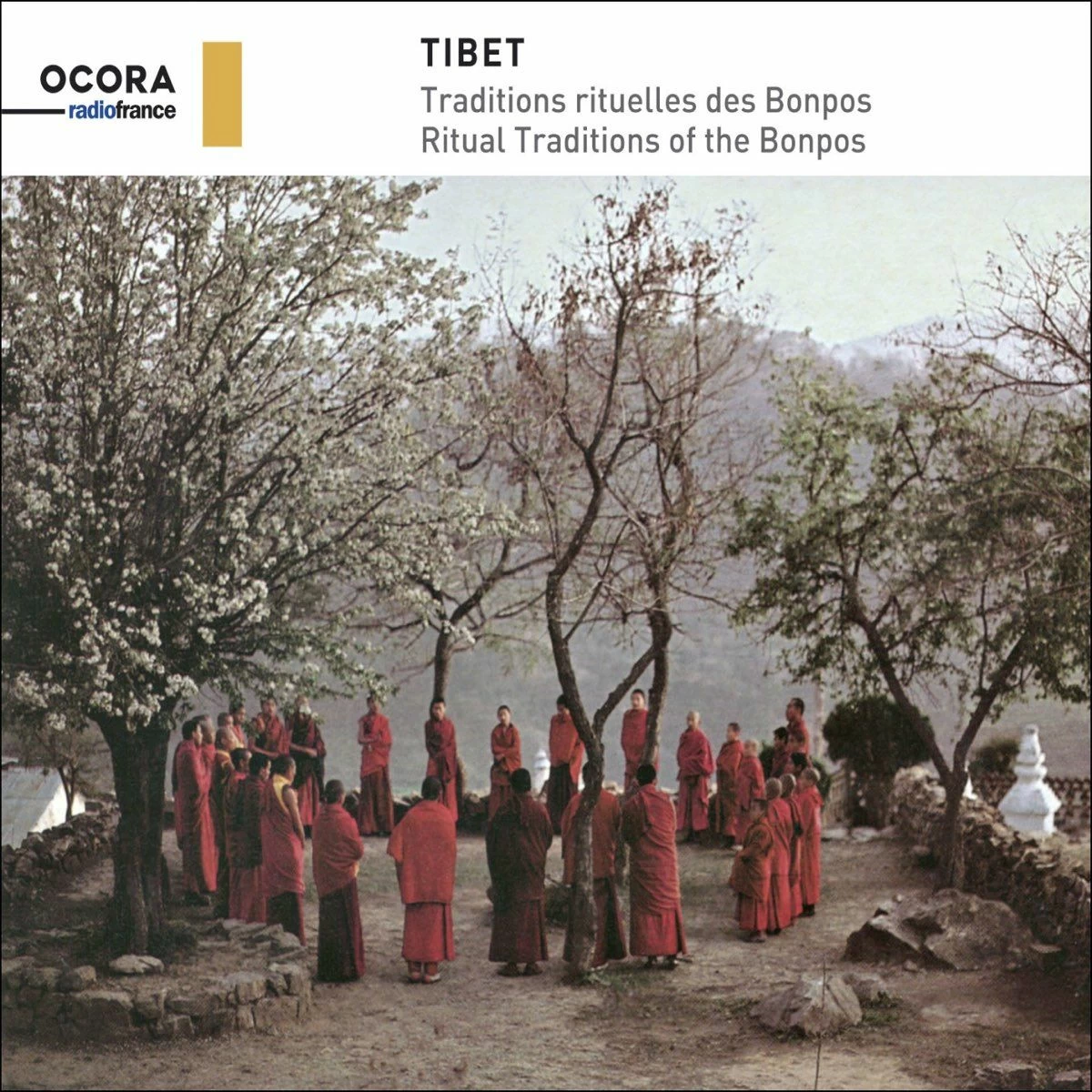 Tibet: Traditions rituelles des Bonpos (2019)